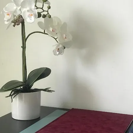 Apartment Greatforest Rosehill 1